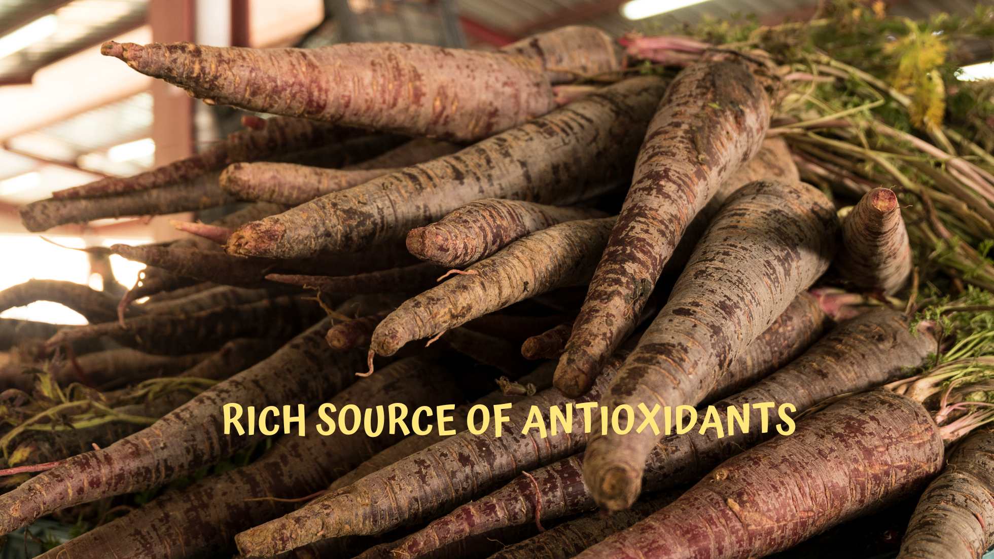 Rich source of antioxidants